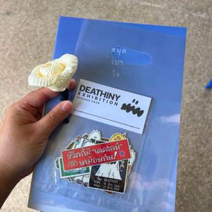 รูปภาพที่ 5