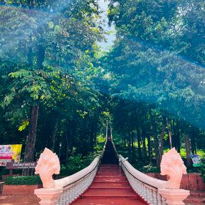 รูปภาพที่ 5