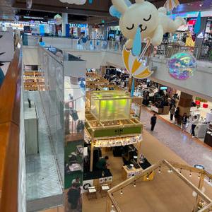 รูปภาพที่ 4