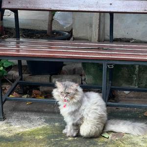 รูปภาพที่ 1