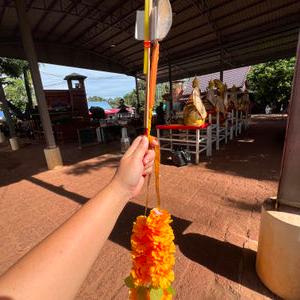 รูปภาพที่ 2