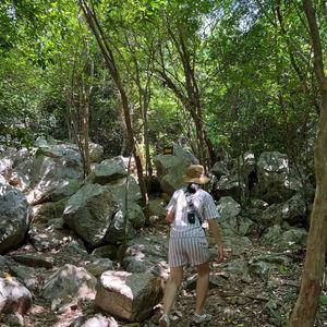 รูปภาพที่ 2