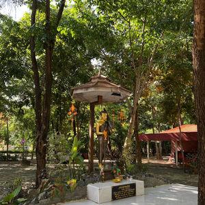 รูปภาพที่ 2