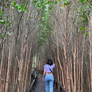 รูปภาพที่ 5