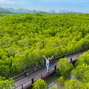 รูปภาพที่ 3