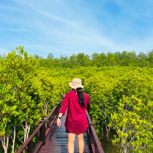 รูปภาพที่ 2