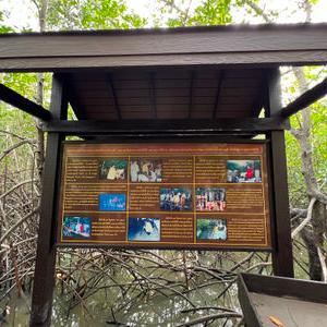 รูปภาพที่ 1