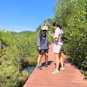 รูปภาพที่ 4