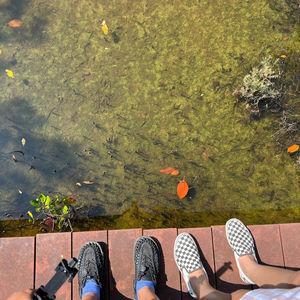 รูปภาพที่ 3