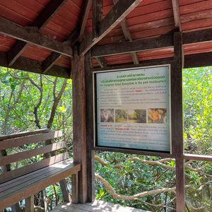 รูปภาพที่ 2