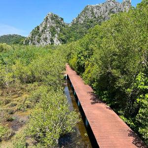 รูปภาพที่ 1