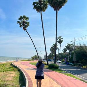 รูปภาพที่ 3