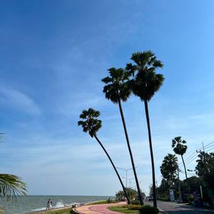 รูปภาพที่ 2