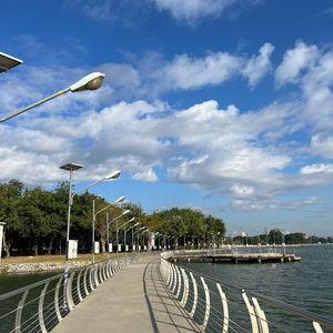 รูปภาพที่ 2