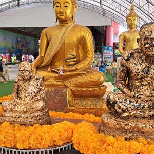 รูปภาพที่ 7