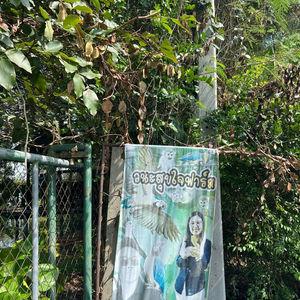 รูปภาพที่ 5