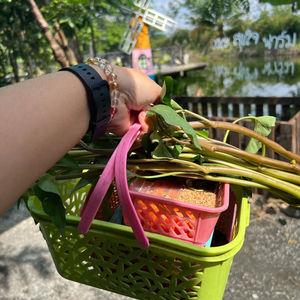 รูปภาพที่ 4