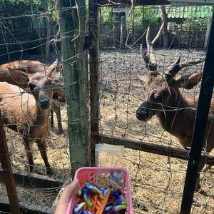 รูปภาพที่ 3