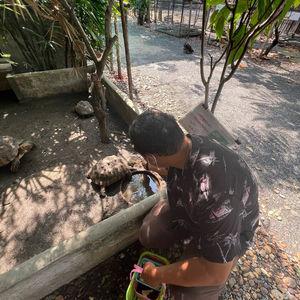 รูปภาพที่ 2