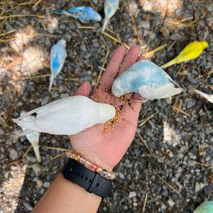 รูปภาพที่ 1