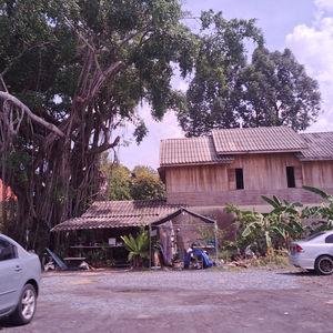 รูปภาพที่ 1