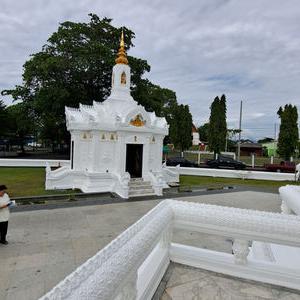 รูปภาพที่ 8