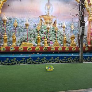 รูปภาพที่ 1