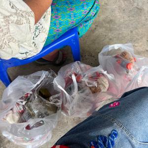 รูปภาพที่ 1