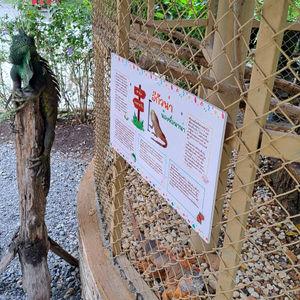 รูปภาพที่ 9