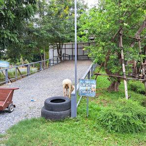 รูปภาพที่ 8