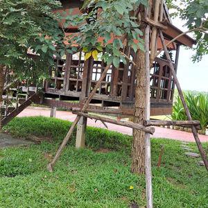 รูปภาพที่ 6