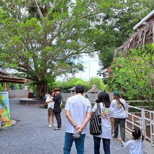 รูปภาพที่ 4