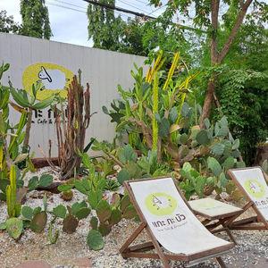 รูปภาพที่ 3