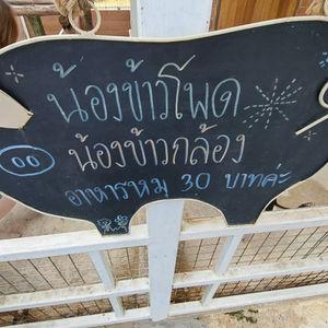 รูปภาพที่ 2