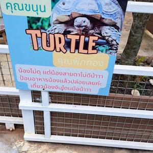 รูปภาพที่ 1