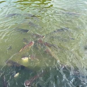 รูปภาพที่ 3