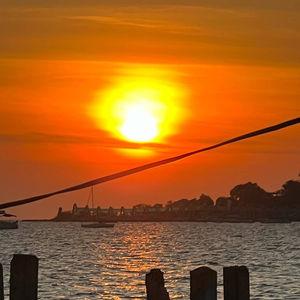 รูปภาพที่ 4