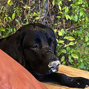 รูปภาพที่ 4