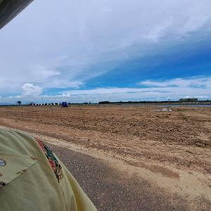 รูปภาพที่ 8