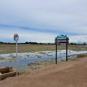 รูปภาพที่ 8