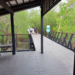 รูปภาพที่ 3