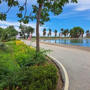 รูปภาพที่ 1