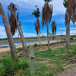 รูปภาพที่ 2