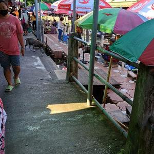 รูปภาพที่ 2