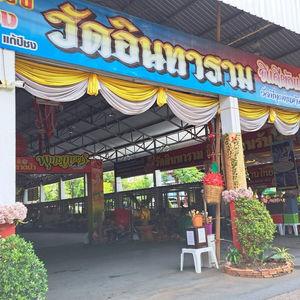 รูปภาพที่ 9