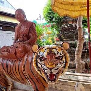 รูปภาพที่ 5