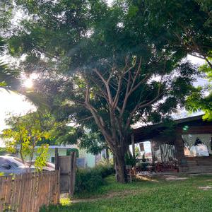 รูปภาพที่ 3