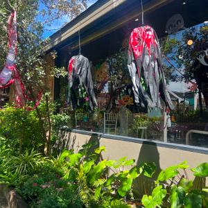 รูปภาพที่ 2