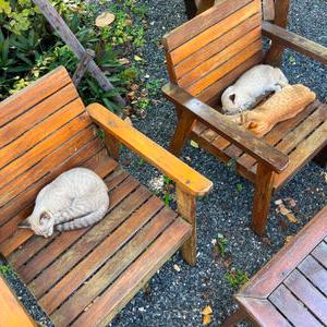 รูปภาพที่ 1