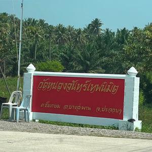 รูปภาพที่ 5